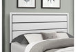 Kate Bed Group