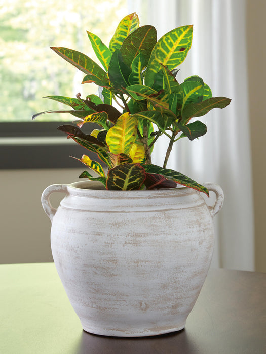 Meadie Vase - Smart Rent To Own (PA) - Multi Location