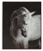 Archerwick Wall Art - Smart Rent To Own (PA) - Multi Location