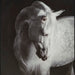 Archerwick Wall Art - Smart Rent To Own (PA) - Multi Location