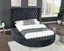 Galaxy Home Hazel King Bed in Black image