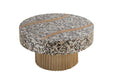 Galaxy Home T 1207-32 Coffee Table in Gold image